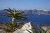 View from our rock garden