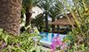 Oasis Apartments & Rooms
