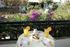 Pension Sofi